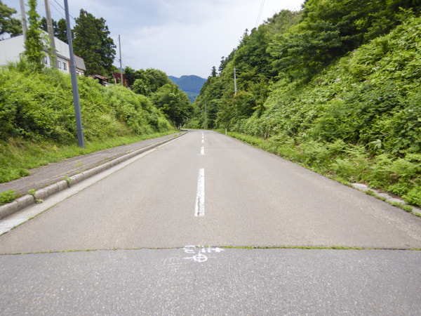 市道鳴子要害線外1路線舗装修繕工事